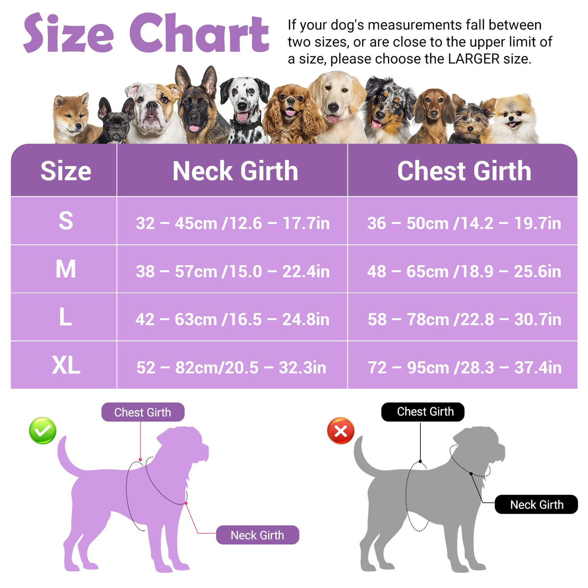 Dog Harness for XLarge Dogs (Purple / X-Large)