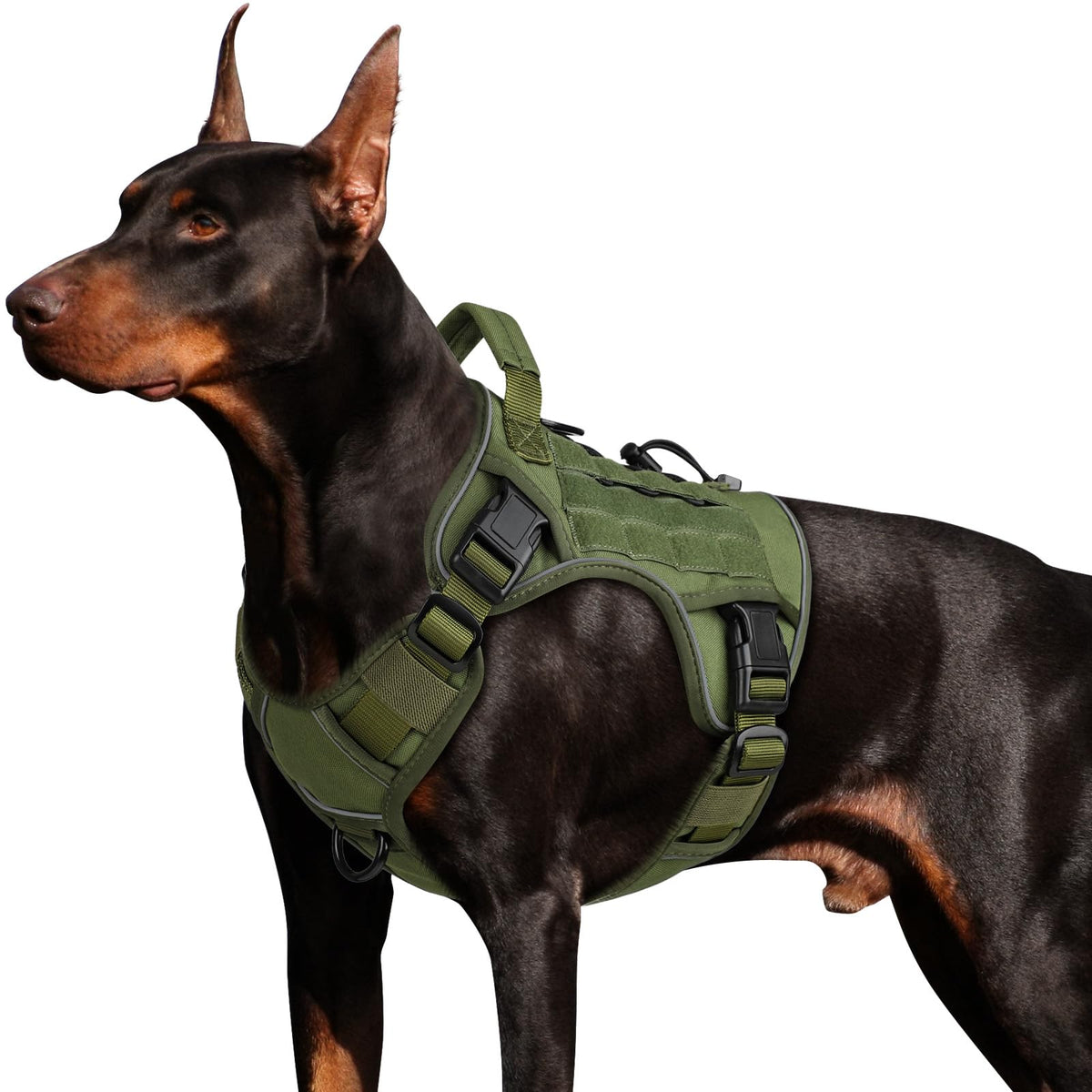 Tactical Dog Harness for Large Dogs (Green / Large: 45-80 lbs (Chest:27-37",Neck:19-25"))