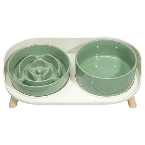 Elevated Slow Feeder Dog Bowls with Splash Proof Stand (Medium / Green)