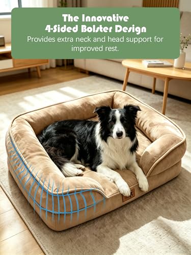 Orthopedic Dog Bed with Sides (35.0"L x 25.0"W x 6.5"Th / Brown)