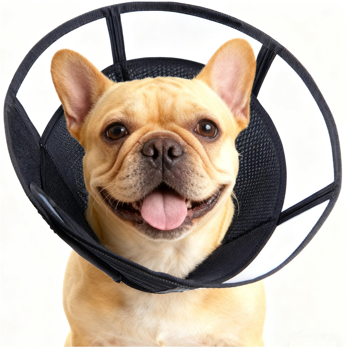 Soft Dog Cone (Black / M(Neck:12.25-14.25"))