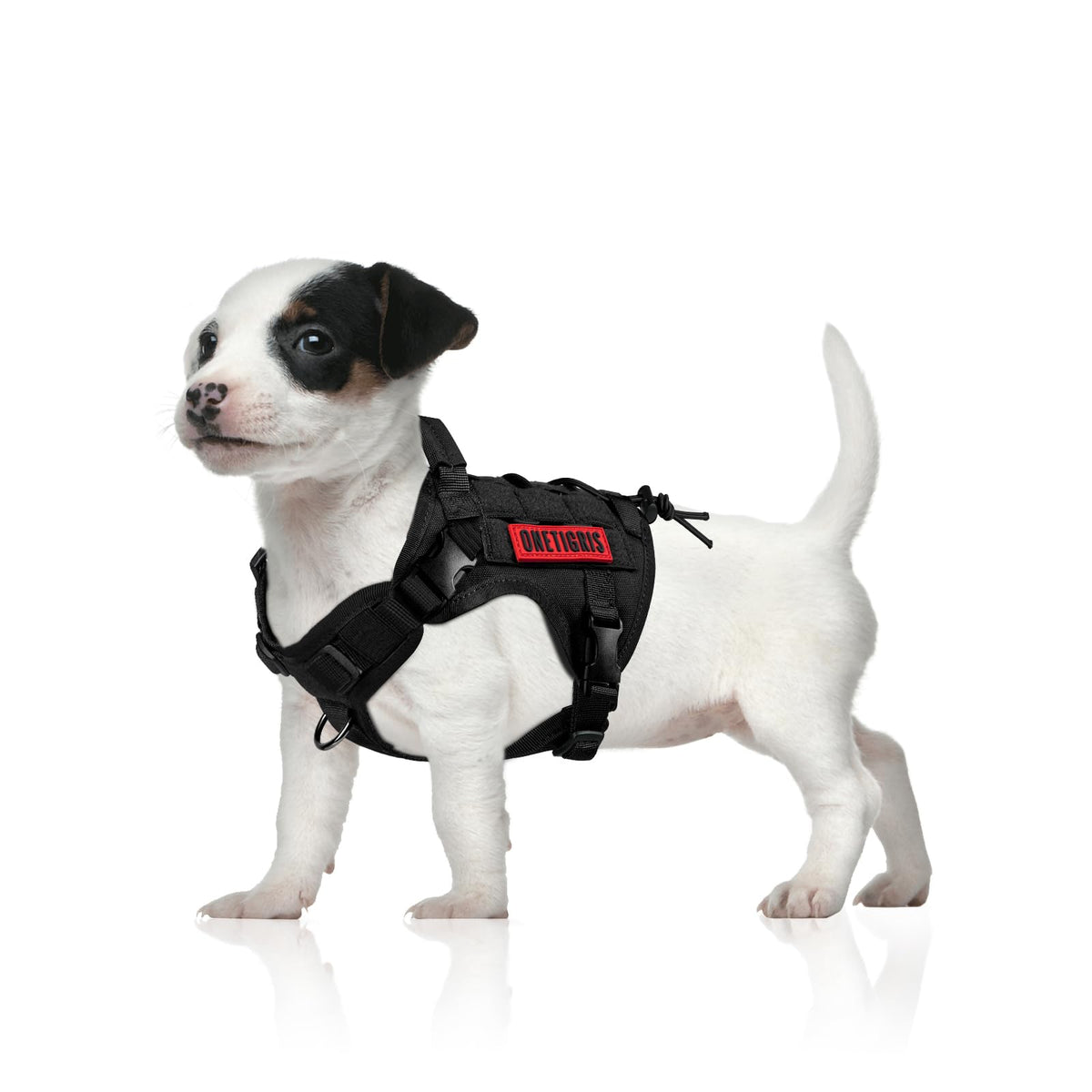 Tactical Dog Harness with Handle No (X-Small / Black)
