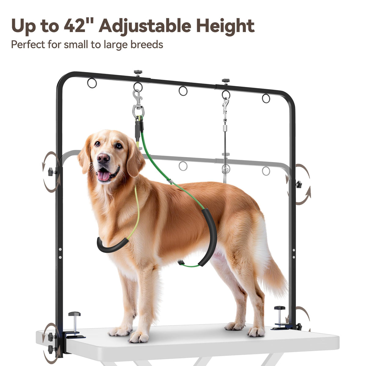 Pet Grooming Arm for Table