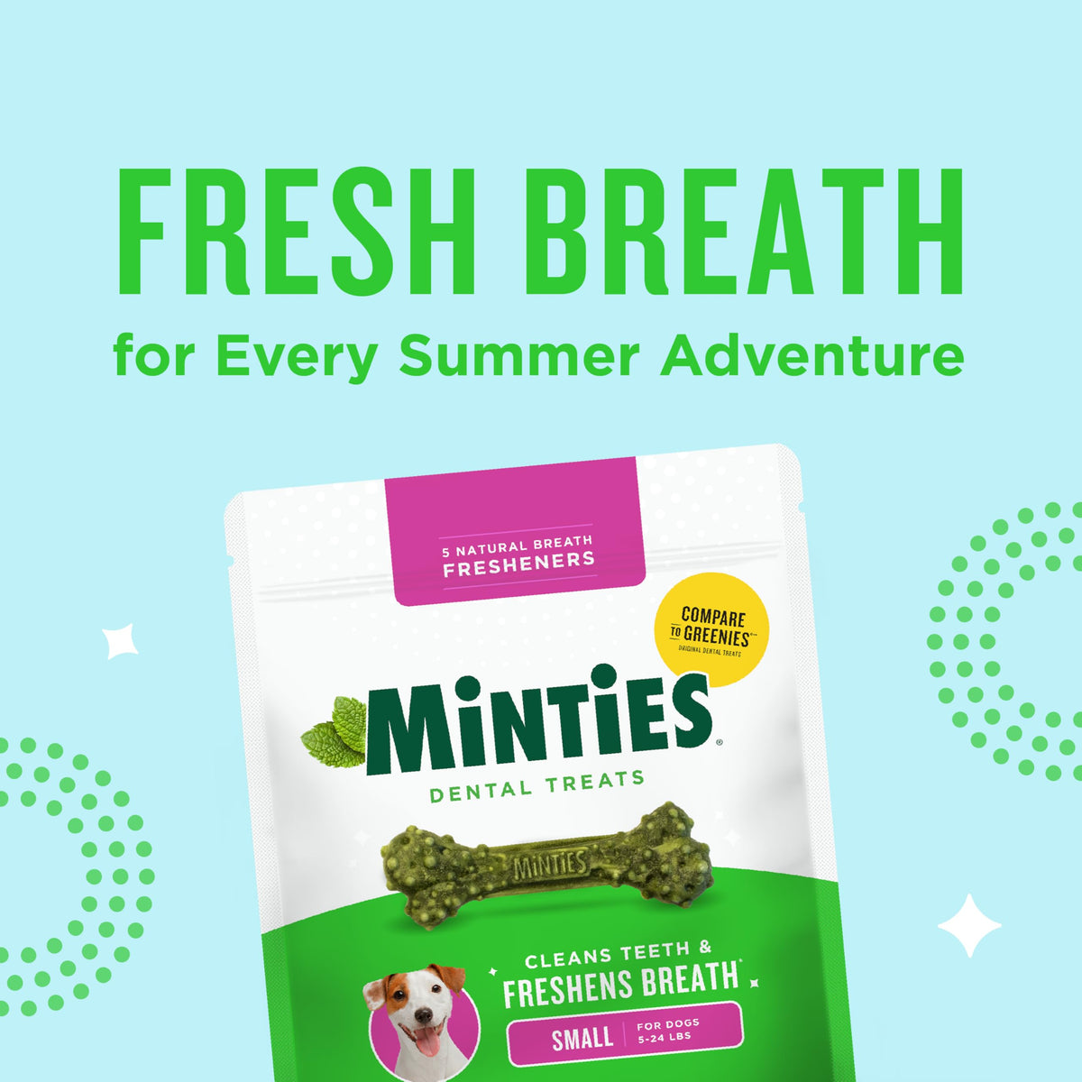 Dog Dental Bone Treats (Small Dogs - 48oz)