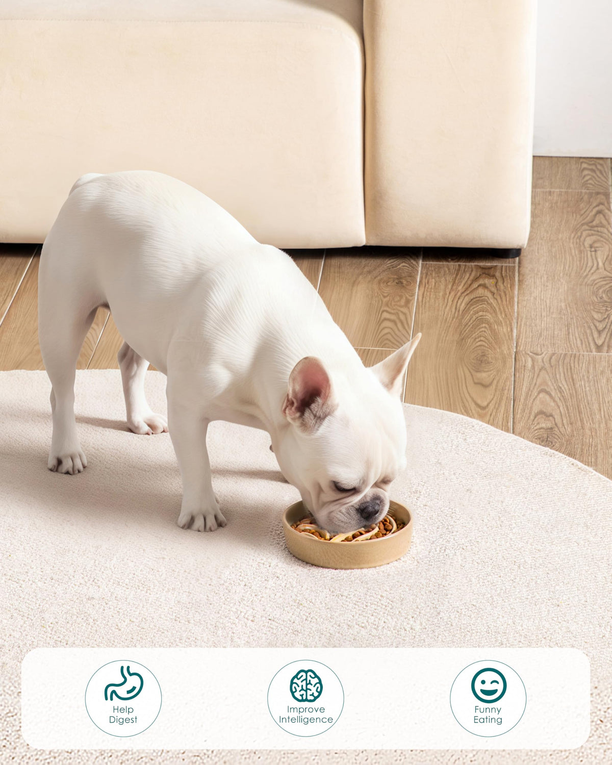Slow Feeder Dog Bowl (Brown / 0.6 Cups)