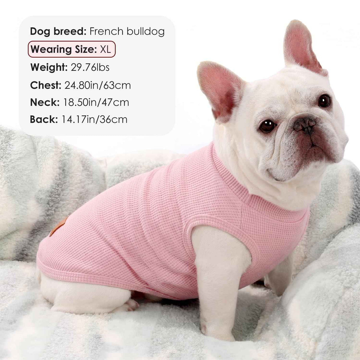 2Pack Dog Shirts Lightweight Waffle Dog Shirt for Small Dogs Sleeveless Dog Shirt for Small Medium Boy Girl Dogs Cozy & Breathable Pet Vest (M(Back: 13.8", Chest: 17.7", 8.8-13.2lbs) / Light Pink+Light Purple)