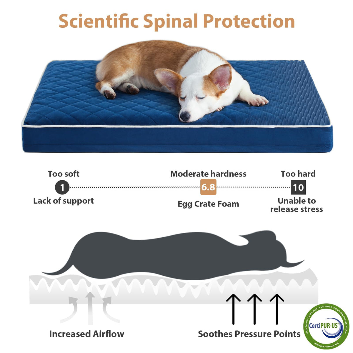 Orthopedic Waterproof Large Dog Bed for Crate Cozy Sleep (Blue / 35"L x 22"W x 3"Th)