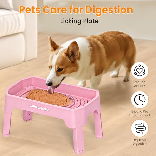 Elevated Dog Bowls