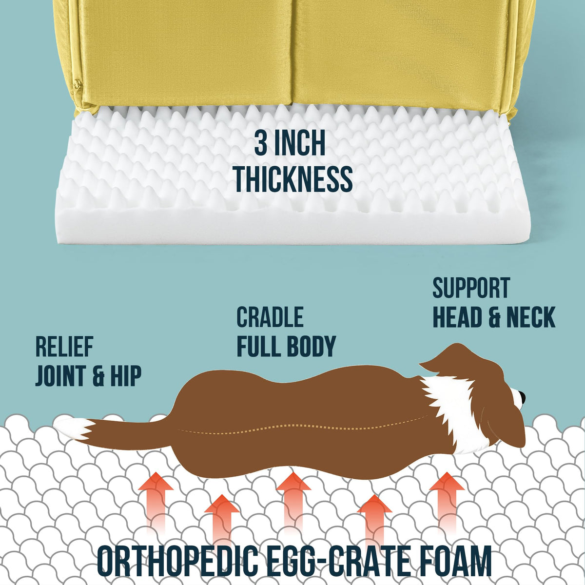 Orthopedic Dog Bed House (29"L x 18"W x 19"Th / Moonstone)