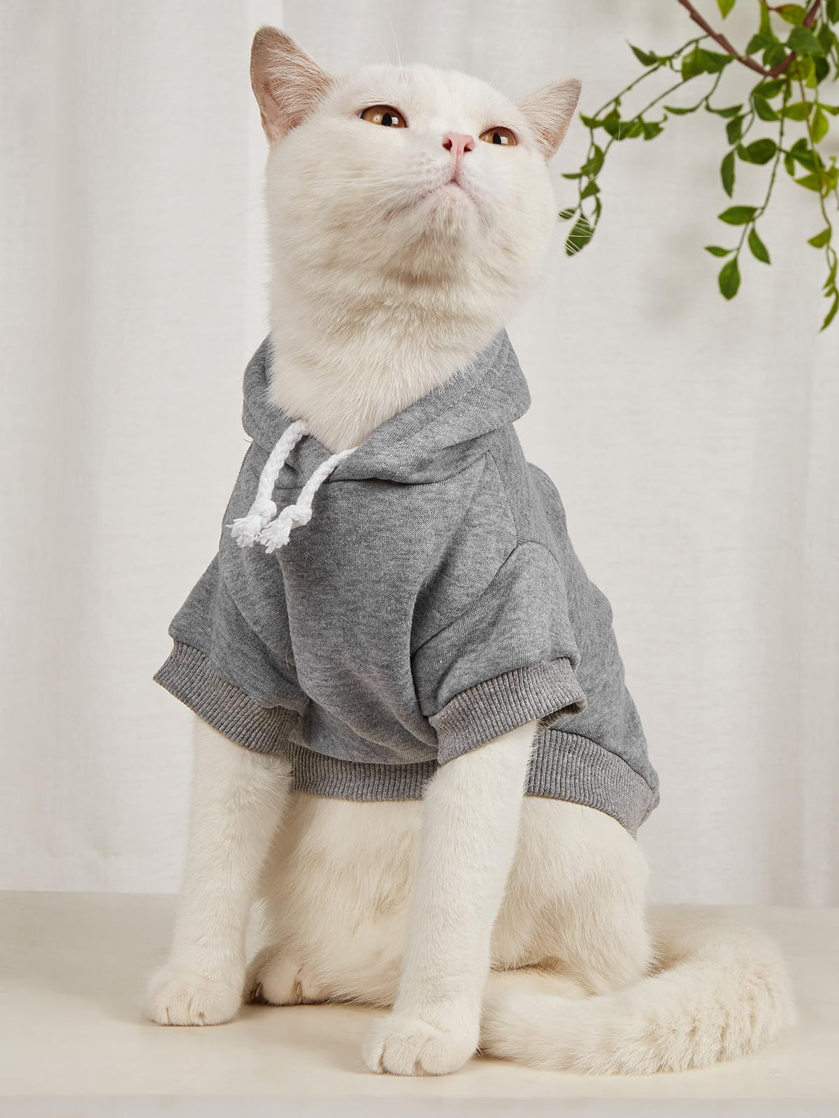 Basic Dog Hoodie Sweatshirt Puppy Sweater Warm Cat Costumes Pet Clothes for Chihuahua Puppy Kitten Small Medium Dogs Grey and Cadet Blue X (X-Large / Grey and Cadet Blue)