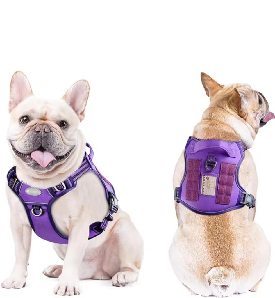 Dog Harness for Small Medium Dogs (Purple / S(Neck:14-21",Chest:20-31"),18-35 lbs)