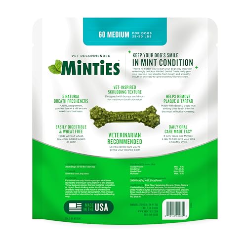 Mint Dental Chews for Dogs (Medium Dogs - 48oz)