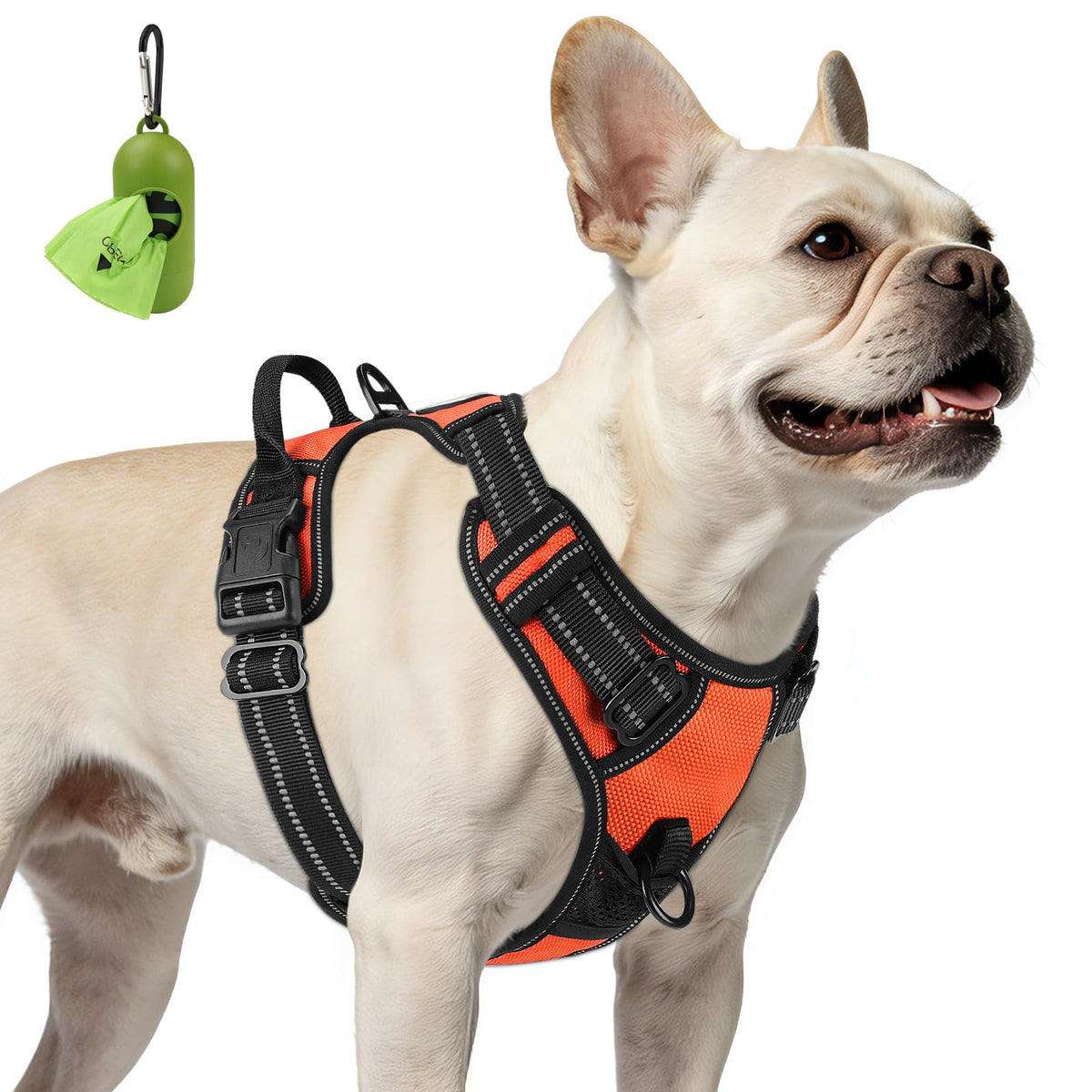 No Pull Dog Harness for Small Dogs (Small / Orange)