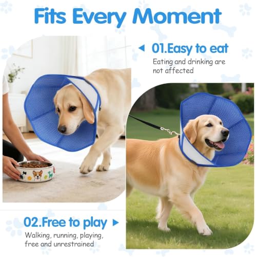 Upraded Dog Cone Collar After Surgery (XS(Girth:7.1-10.2in, Depth:6.1in))