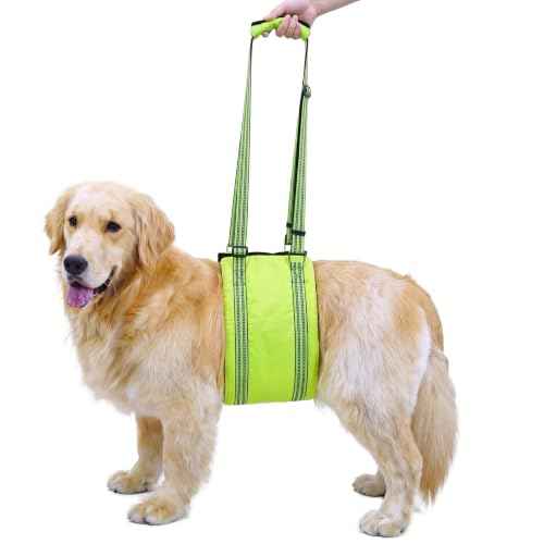 Dog Lift Harness (Fluorescent Green / M)