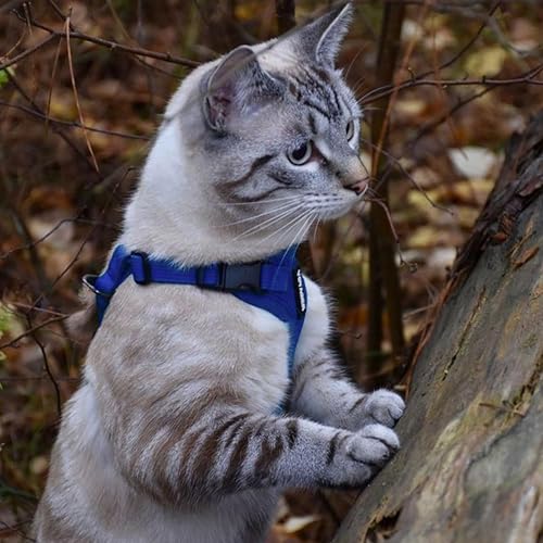 Voyager Step in Lock Cat Harness & Leash Set (Royal Blue / XXXS (Chest: 10.5 - 13"))