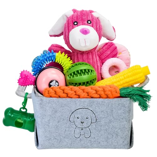 20Pcs Puppy Chew Toys for Teething (Rabbit)