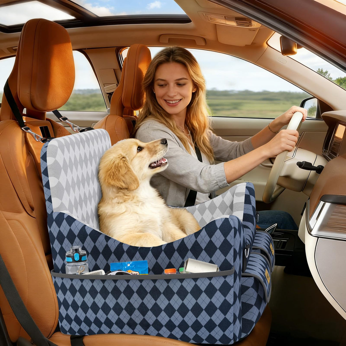 Dog Car Seat for Small (Blue/Grey / Medium)