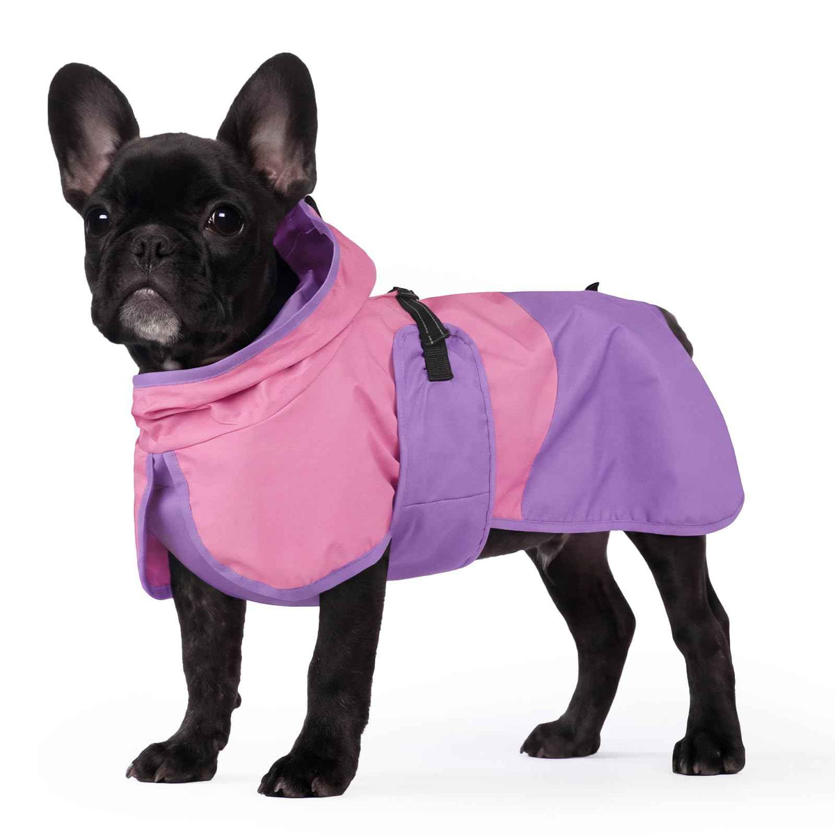 Dog Raincoat Waterproof Rain Jacket with Hood (S(Back Length11.8"") / Pink Purple)