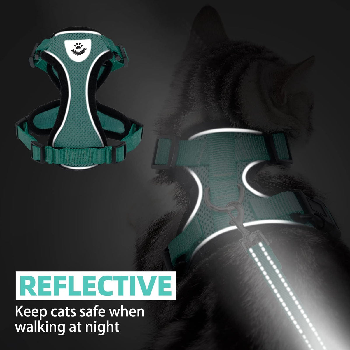 Cat Harness and Leash Set Escape Proof Reflective Cat Walking Harness Adjustable Soft Breathable Mesh Vest for Small Pets (S (NECK 9.5"-11", CHEST 13"-16") / Aquamarine)