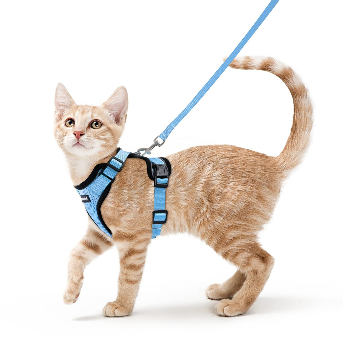 Cat Harness and Leash Set (Xs / Light Blue)