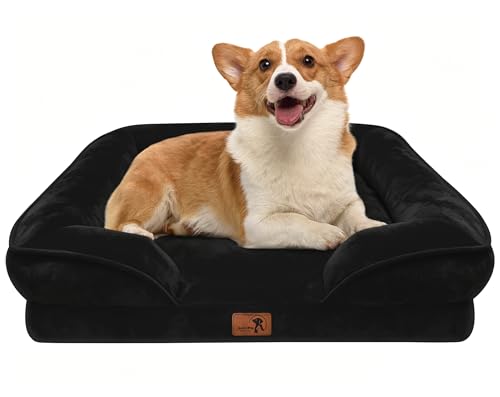 Orthopedic Dog Bed with Sides (24.0"L x 18.0"W x 6.0"Th / Black)