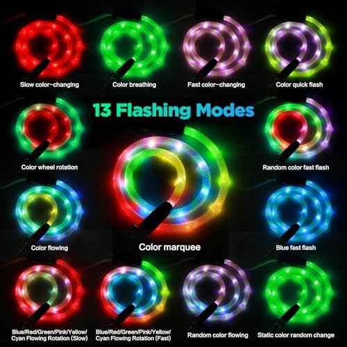 Light Up Dog Leash (6 Ft / RGB)