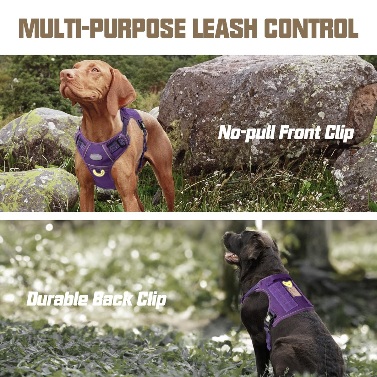 Dog Harness for Large Dogs (Purple / L(Neck:18-29",Chest:24-37"),45-80 lbs)