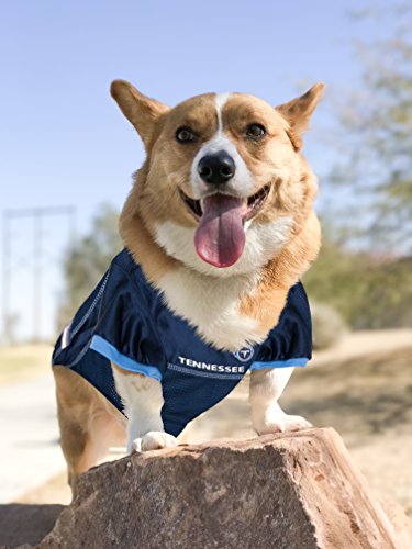 NFL AFC South Mesh Jersey for Dogs (Large / Tennessee Titans)