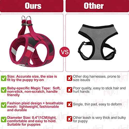 Small Dog Harness and Leash Set (Large(Chest Girth 18" - 21") / Red)
