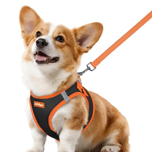 Dog Harness Small Sized and Leash Set (Black & Orange / L (Chest: 18.2"-20.5"))