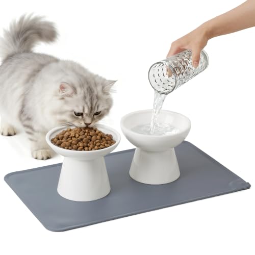 2 Pack Elevated Ceramic Cat Bowls Extra Wide for Food & Water + Food Mat White+Mat (White+Mat)