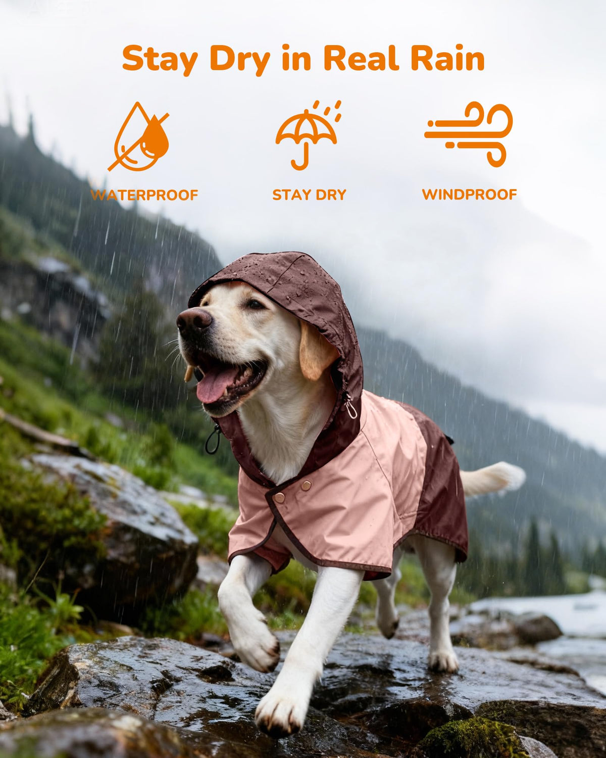 Waterproof Dog Raincoat with Hood (X-Large / Pink)