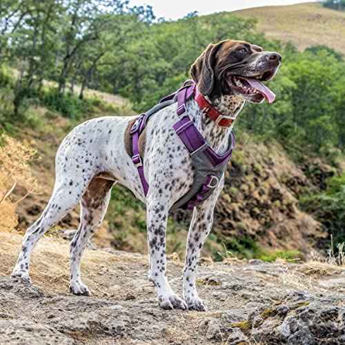 Journey Air Harness (Large / Purple)