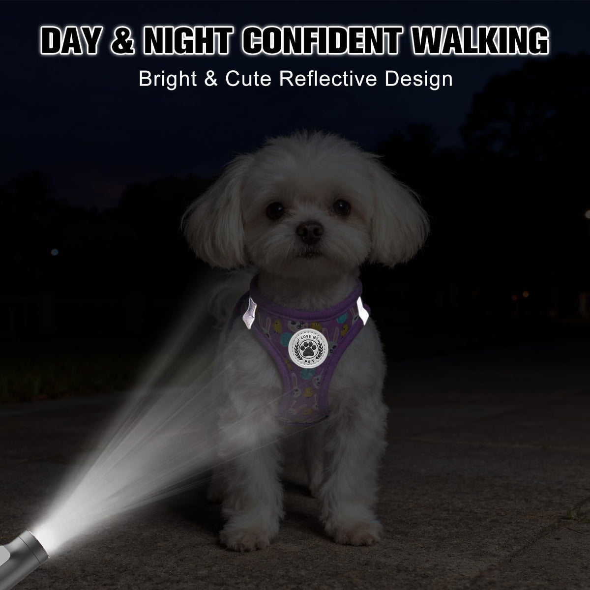Small Dog Harness and Leash Set (Small(Chest Girth 14.5" - 16") / Colorful)