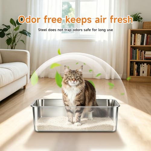 Low Side Stainless Steel Cat Litter Box (19.69" L x 13.78" W x 3.94" H)