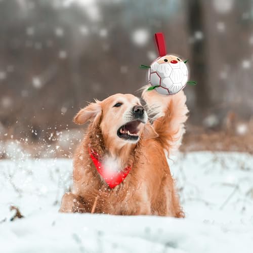 Christmas Dog Balls with Straps (Christmas 1 / 6 Inch)