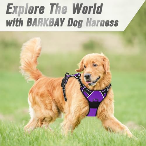 Dog Harness No Pull for Medium Sized Dog Front Back Clips (Medium(Chest:22.5-28") / Purple)