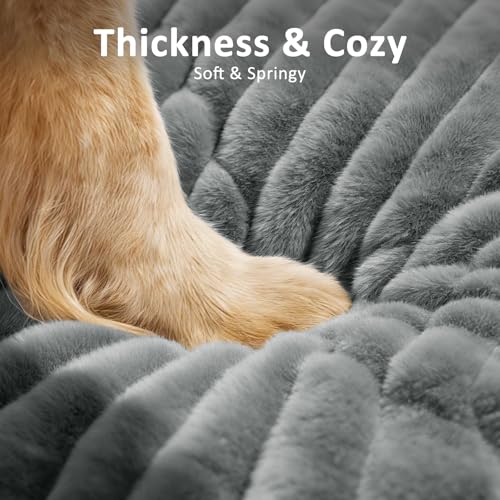 Orthopedic Dog Beds Large Sized Dog (Grey / L(35"x23"x4"))