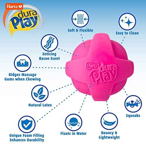 Dura Play Bacon Scented Squeak Ball Dog Toy for Small Breeds (Small Ball / 3 Count)
