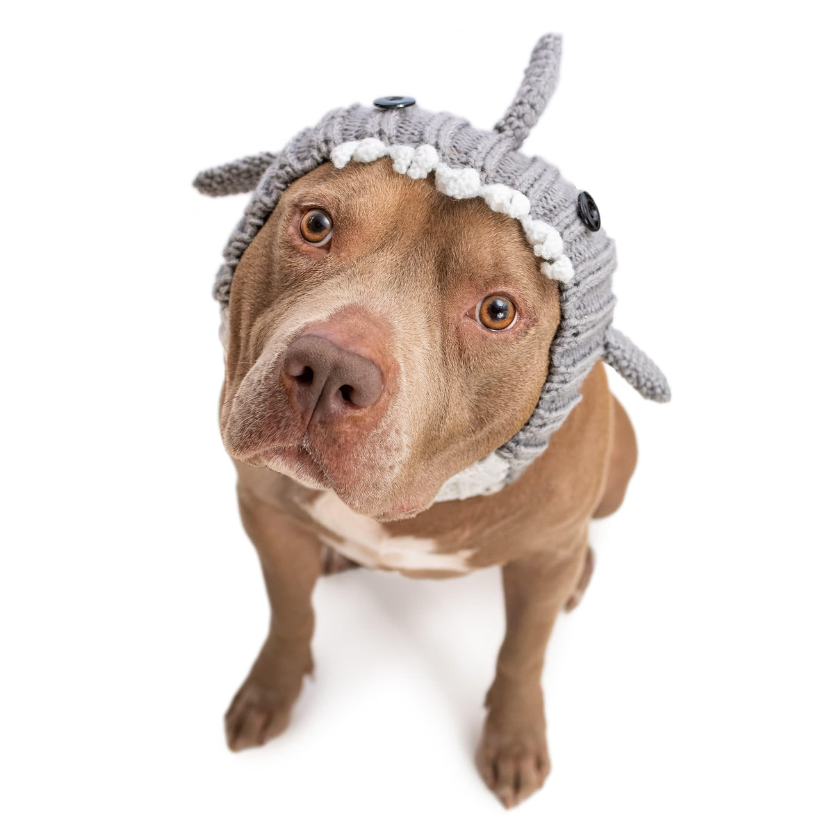 Grey Shark Costume (Large / Grey)