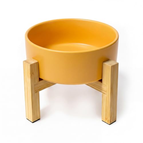 Raised Dog Bowl (Small / Yellow)