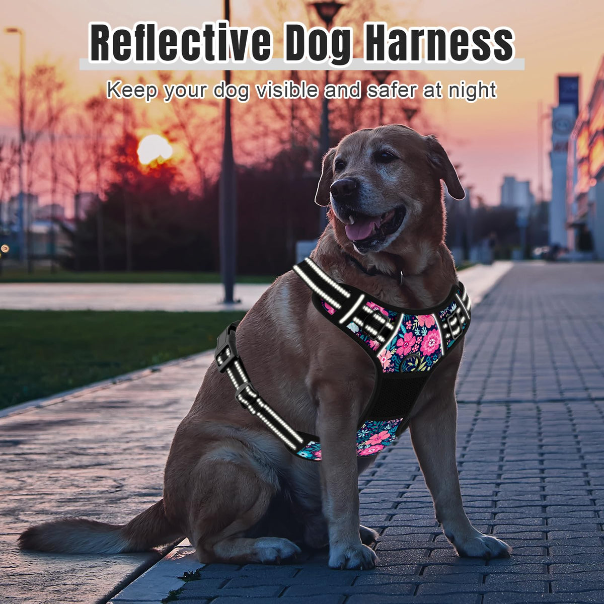 No Pull Dog Harness (Elegant Floral / Medium)