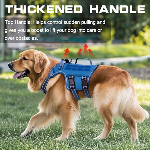 Dog Harness Tactical No Pull for Small Sized Dog with Handle (Blue / S(Neck:16-22",Chest:20-28"),18-35 lbs)