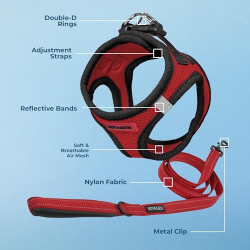 Voyager Step in Air All Weather Mesh Harness and Reflective Dog 5ft Leash Combo with Neoprene Handle