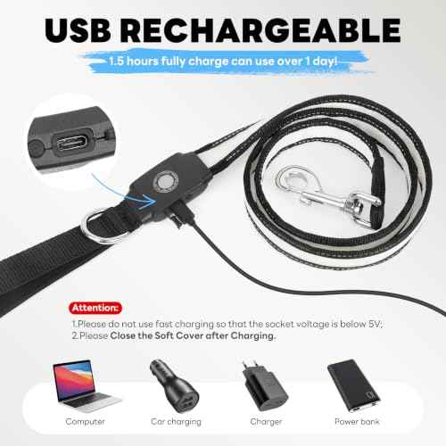 Rechargeable LED Dog Leash (Multi-colored-2)