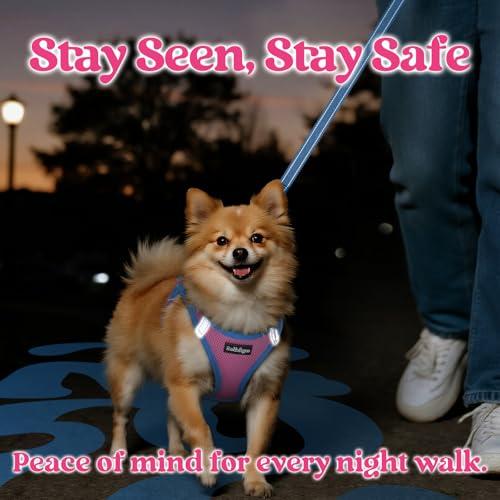 Dog Harness Small Sized and Leash Set (Pink & Blue / M (Chest: 16.0"-18.5"))