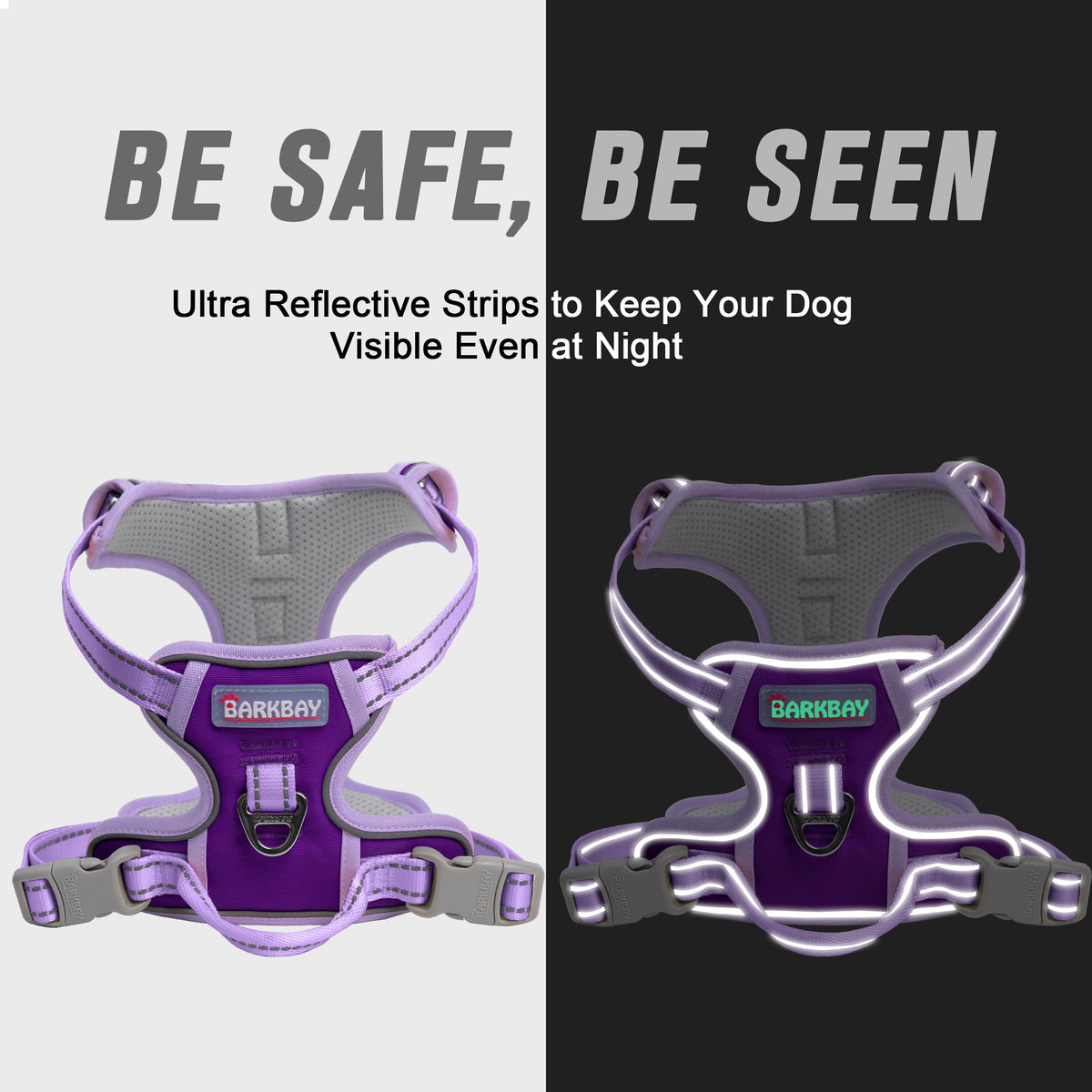 Dog Harness No Pull for Small Sized Dog Front Back Clips (X-Small(Chest:15.5-19.5”) / Violet Purple & Purple)