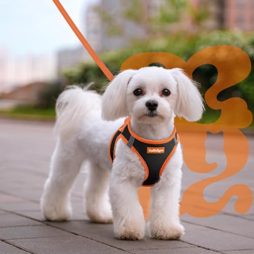 Dog Harness Small Sized and Leash Set (Black & Orange / L (Chest: 18.2"-20.5"))