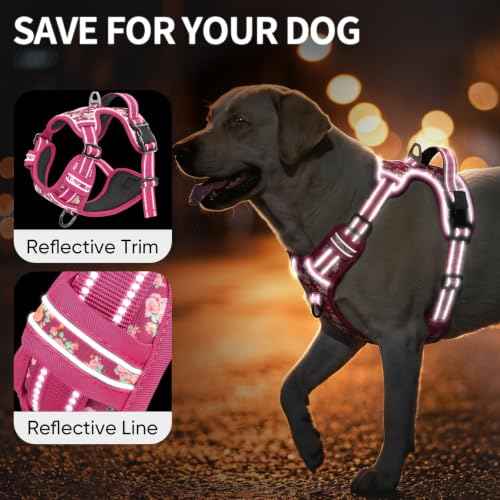 No Pull Large Dog Harness (L / Flower Rose)
